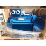 18,5 KW  3000 RPM 50 Hz / 60 Hz B3 NEW
